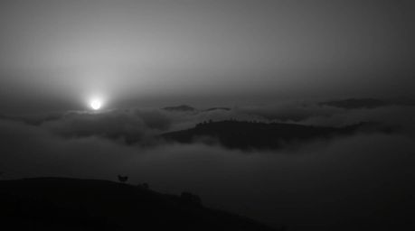 A stunning black and white extreme macro photograph captures the ethereal beauty of fog-covered hills at sunset.  The image e