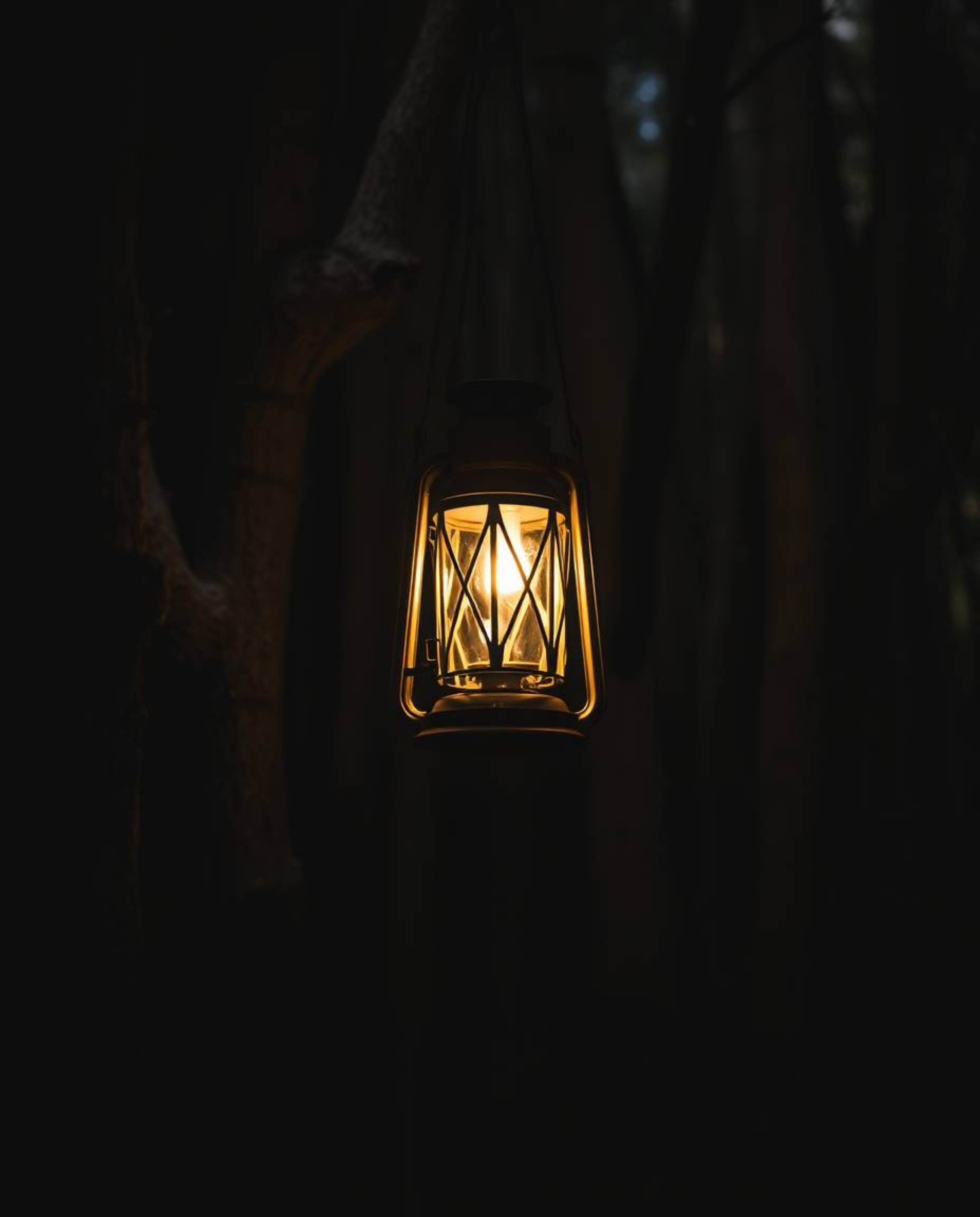Explore the captivating contrast of intense dramatic lighting and natural earth tones in this evocative artwork.  A glowing l