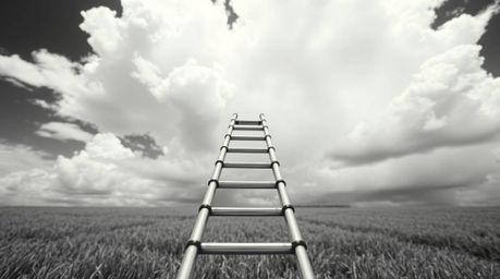 Explore a minimalist black and white photograph featuring an extreme macro close-up of a silver ladder standing in an open fi