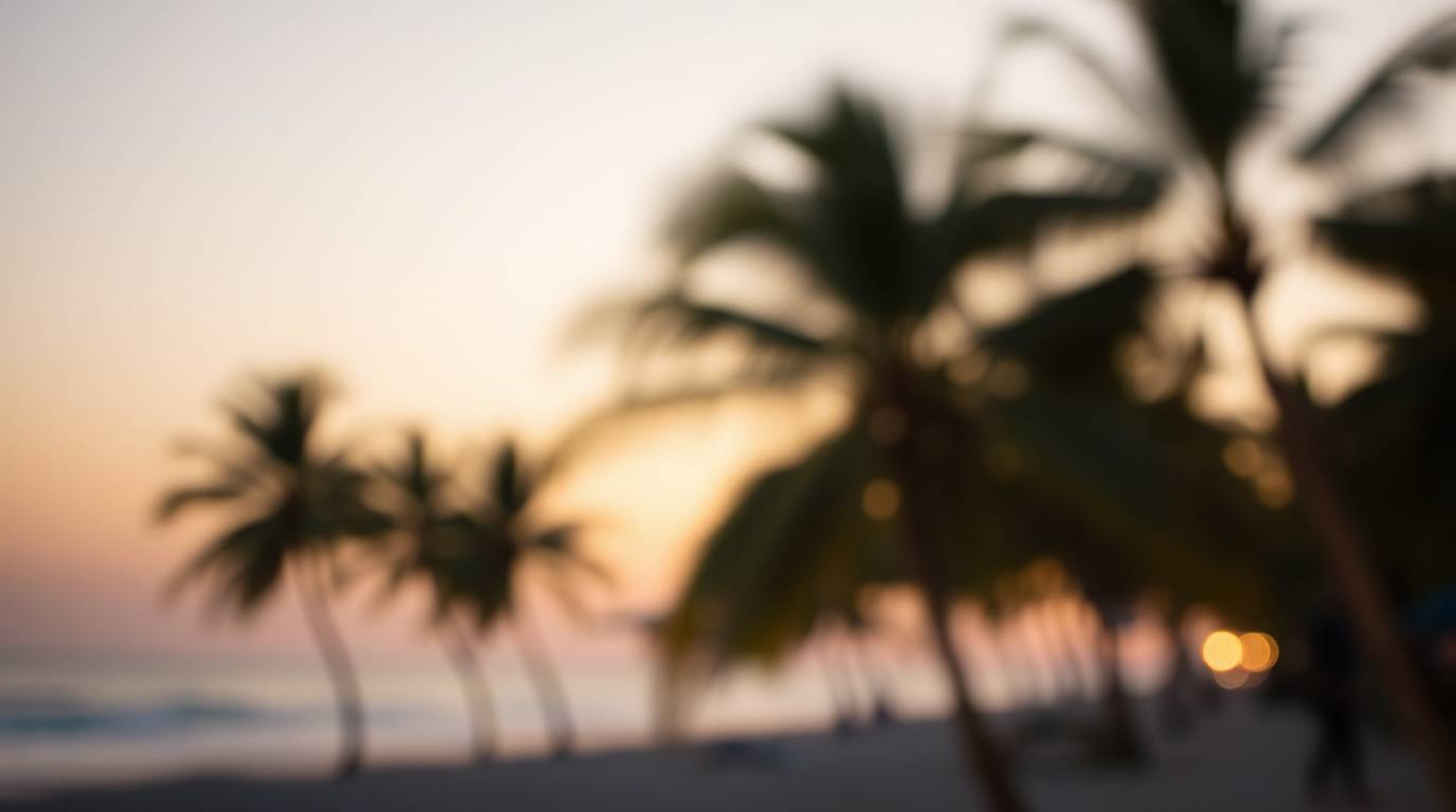 Capture the essence of a serene tropical beach sunset with this collection of images featuring a blurred bokeh effect, gentle