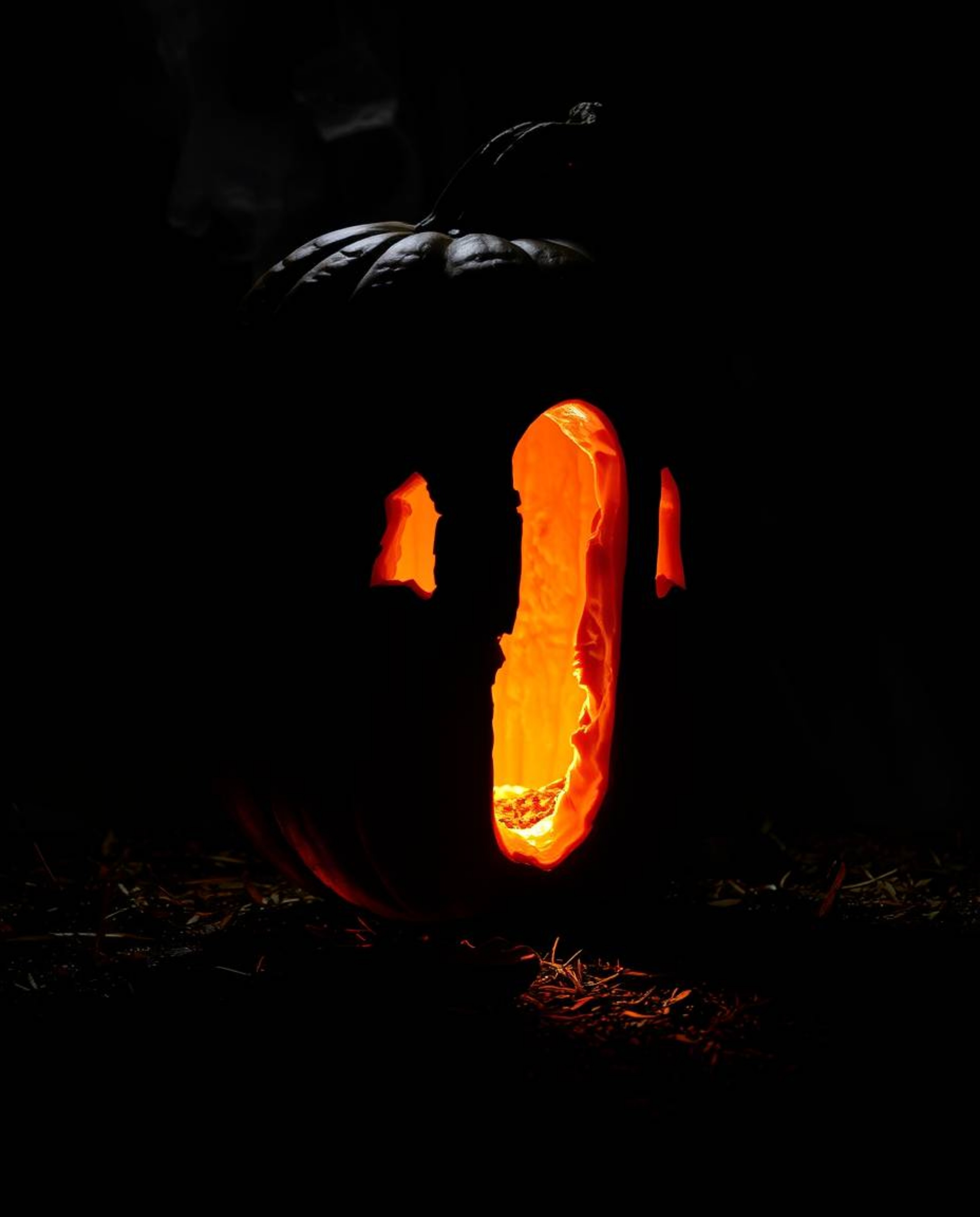 Experience a captivating transformation where a magical pumpkin metamorphoses into a magnificent carriage, sharply defined by