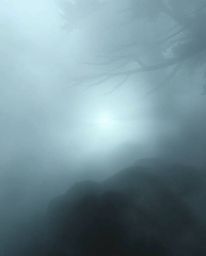 Experience a mesmerizing journey into a digital realm where thick fog intertwines with an ethereal spiritual vibe and a light
