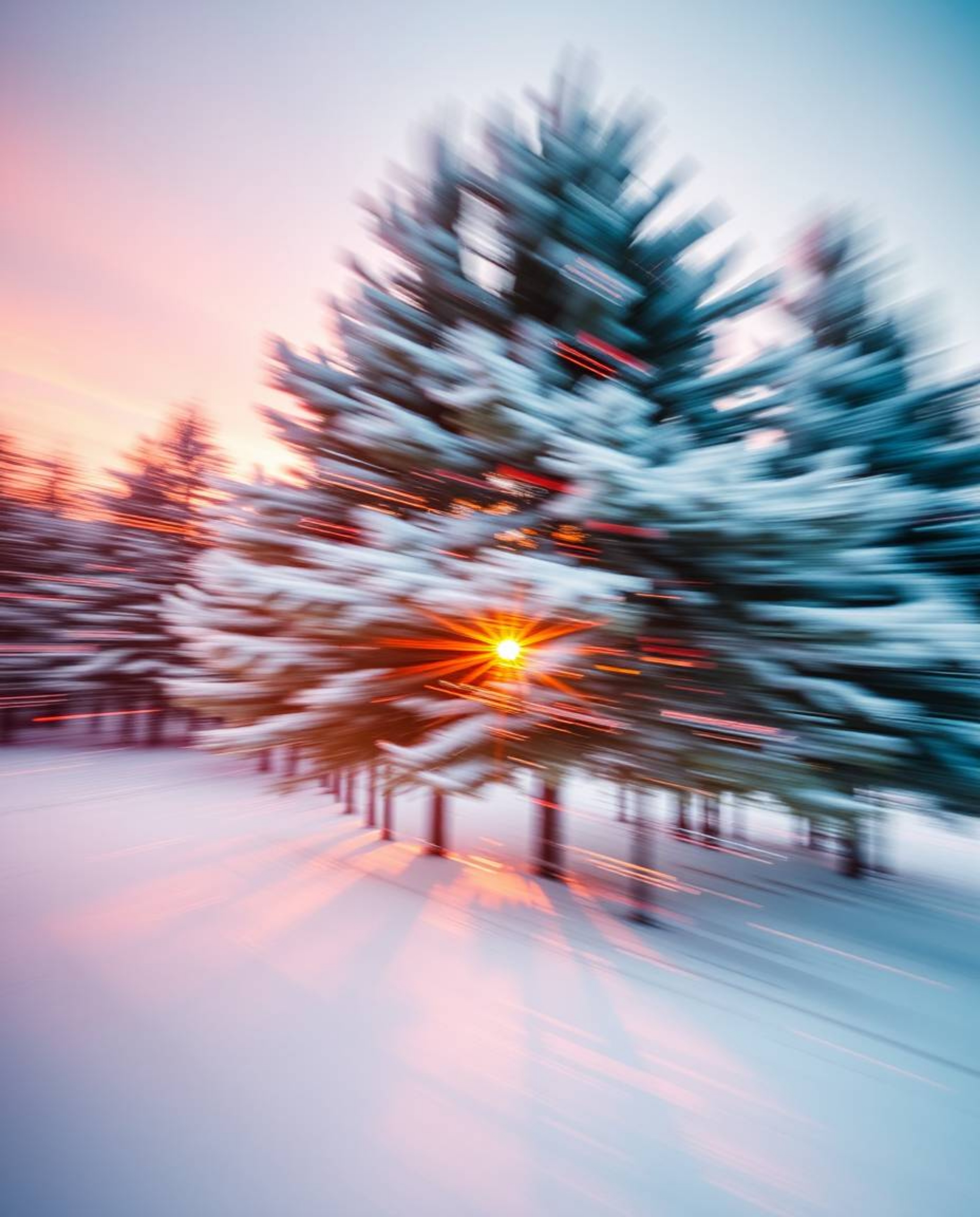 A dynamic motion image captures the mesmerizing scene of sunset light sparkling on snowy pine trees. This visually fluid piec