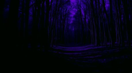 A captivating, high-contrast, low-key photograph capturing a chase sequence through a mesmerizing looping forest.  The image 