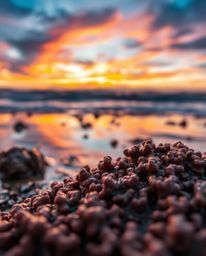 An extreme macro close-up captures a coral reef at low tide under a colorful sky, rendered with a cast bronze surface. This p