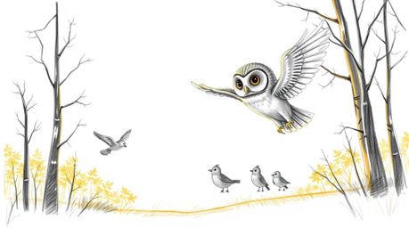 A charming hand-drawn sketch in the style of Pixar depicts a blind owl patiently teaching a group of birds to fly.  Detailed 