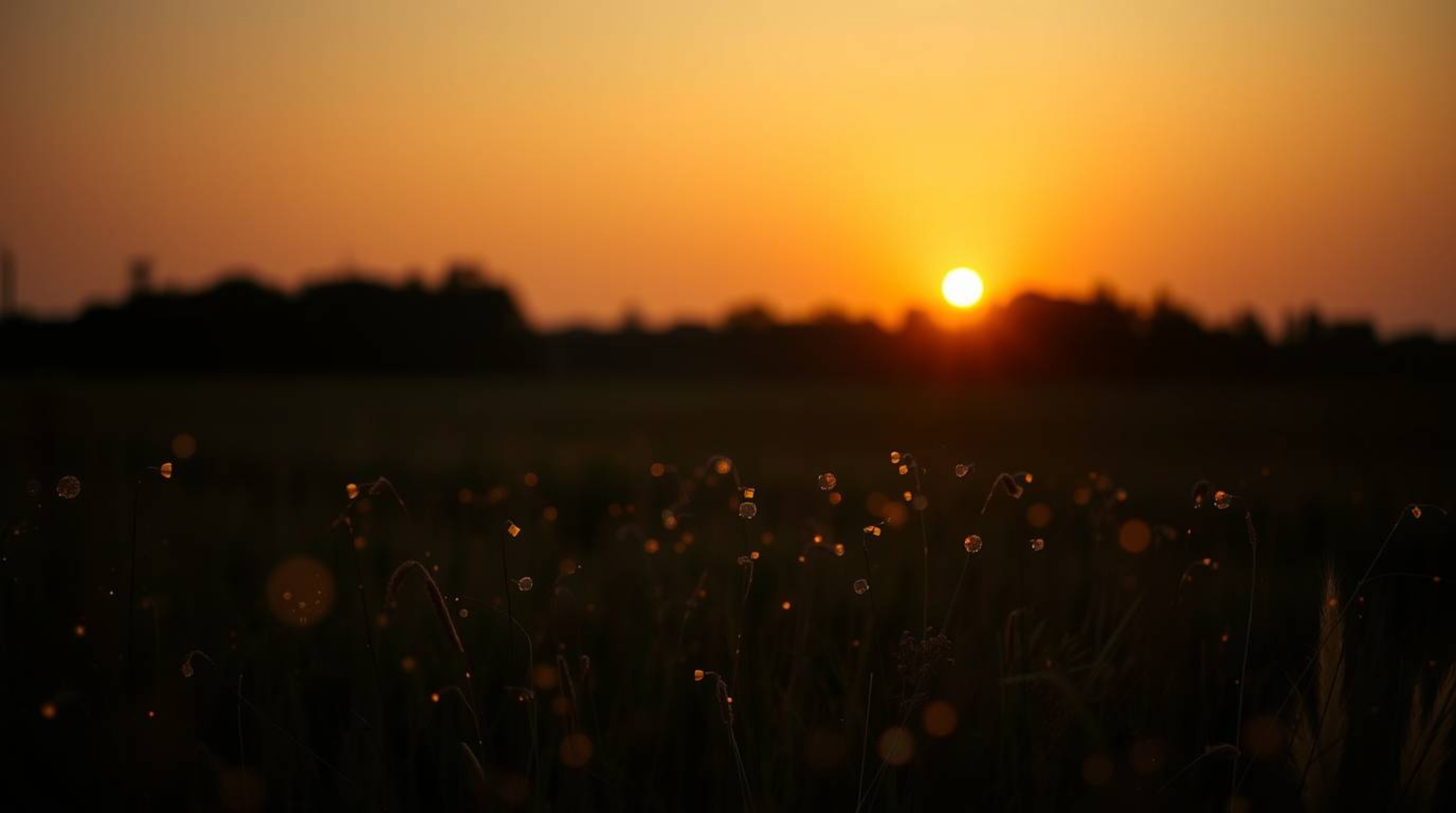 Capture the magic of a warm, slightly dark, and soft sunset over a quiet meadow as fireflies begin to emerge. This profession
