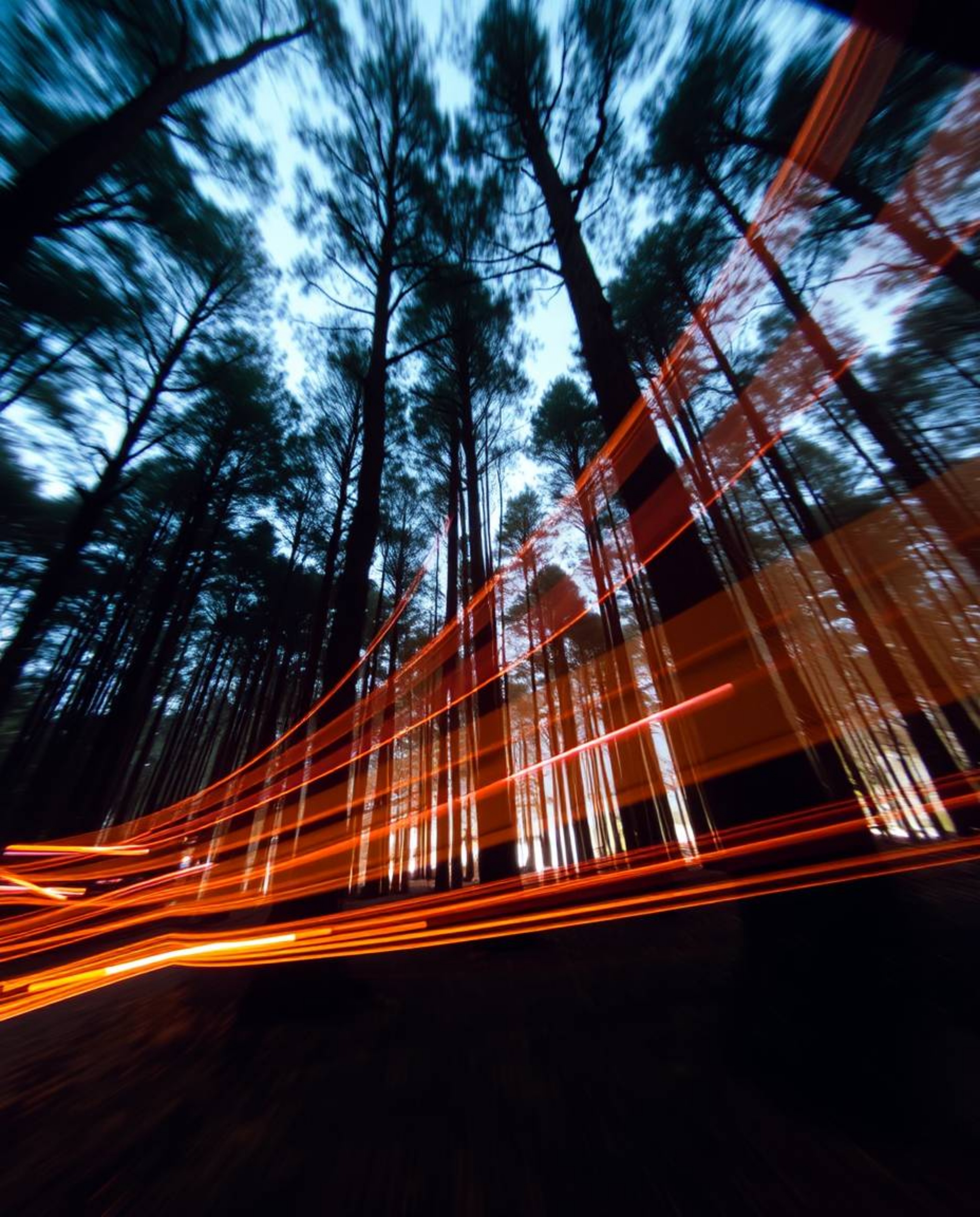 A captivating long-exposure photograph reveals a digital glitch-affected forest scene, showcasing dramatic light trails and a
