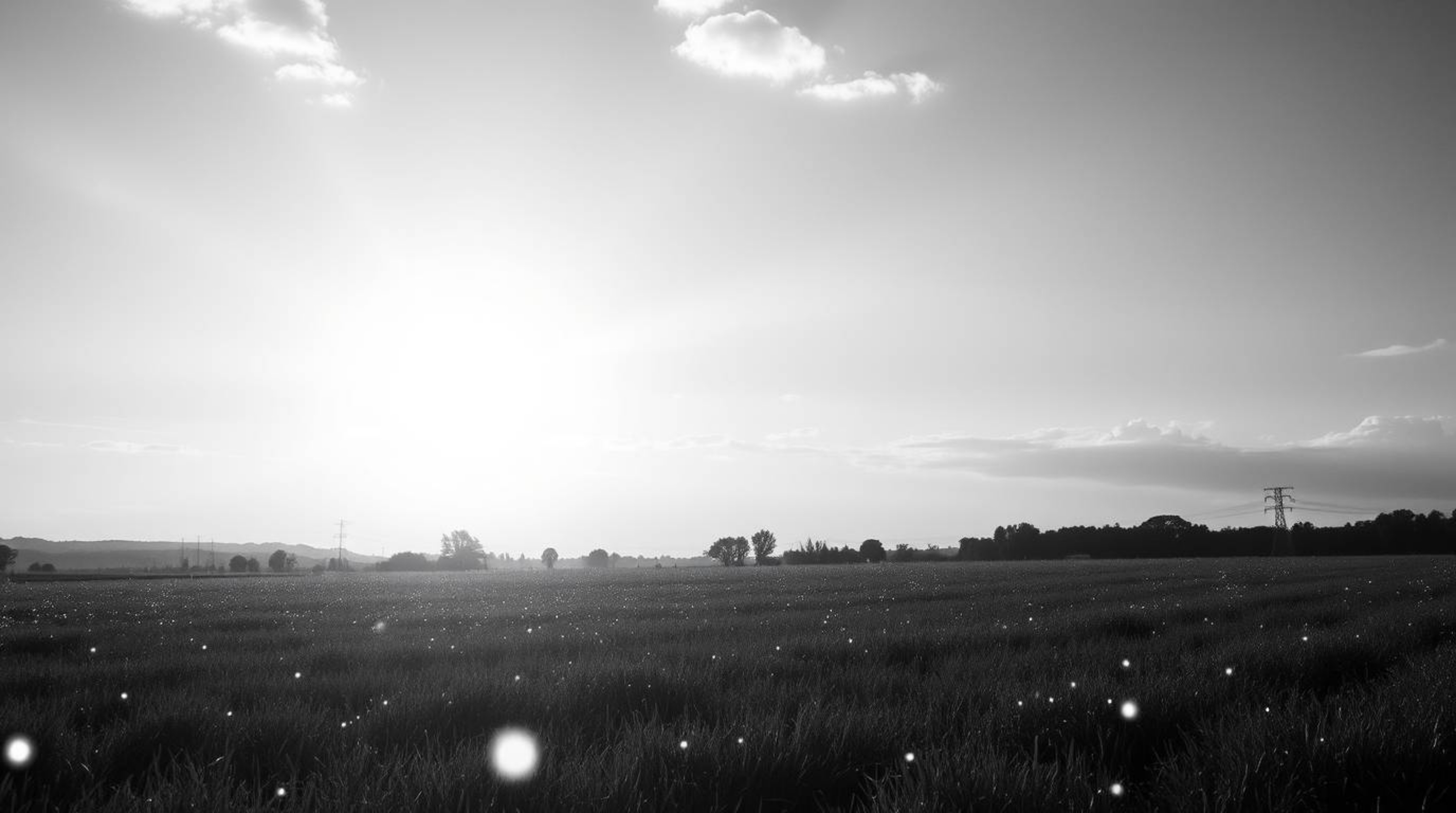 This captivating black and white photograph captures a grand and epic sunset over a tranquil meadow, illuminated by the first