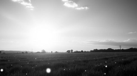 This captivating black and white photograph captures a grand and epic sunset over a tranquil meadow, illuminated by the first