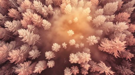 Discover a captivating collection of fine art photographs showcasing a surreal infrared landscape.  These unique images featu