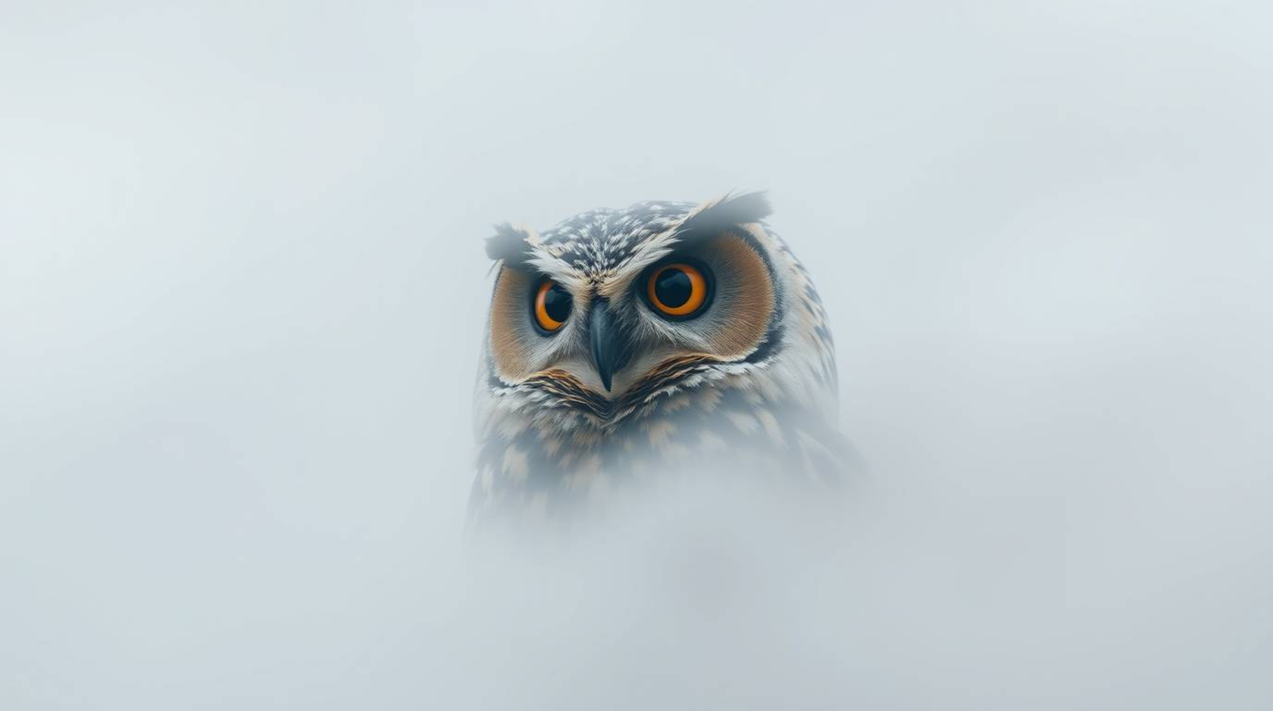 Capture the essence of inner vision with this high-resolution stock photo featuring a Pixar-style blind owl.  Lost in thick f