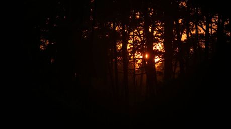 04204e0030230a504c0f30160dc0790fe04403b0850240d1_49.jpg