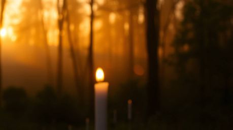 A captivating image depicting a warm, candlelit scene within a mystical forest at golden hour.  Mist rises from the trees, cr