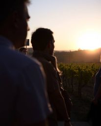 This image captures a sunset over a vineyard through the unique lens of candid street photography. It frames the natural beau
