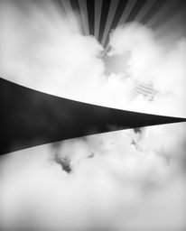 Immerse yourself in a soft, dreamy atmosphere divided into distinct sections, brought to life by a striking black and white g