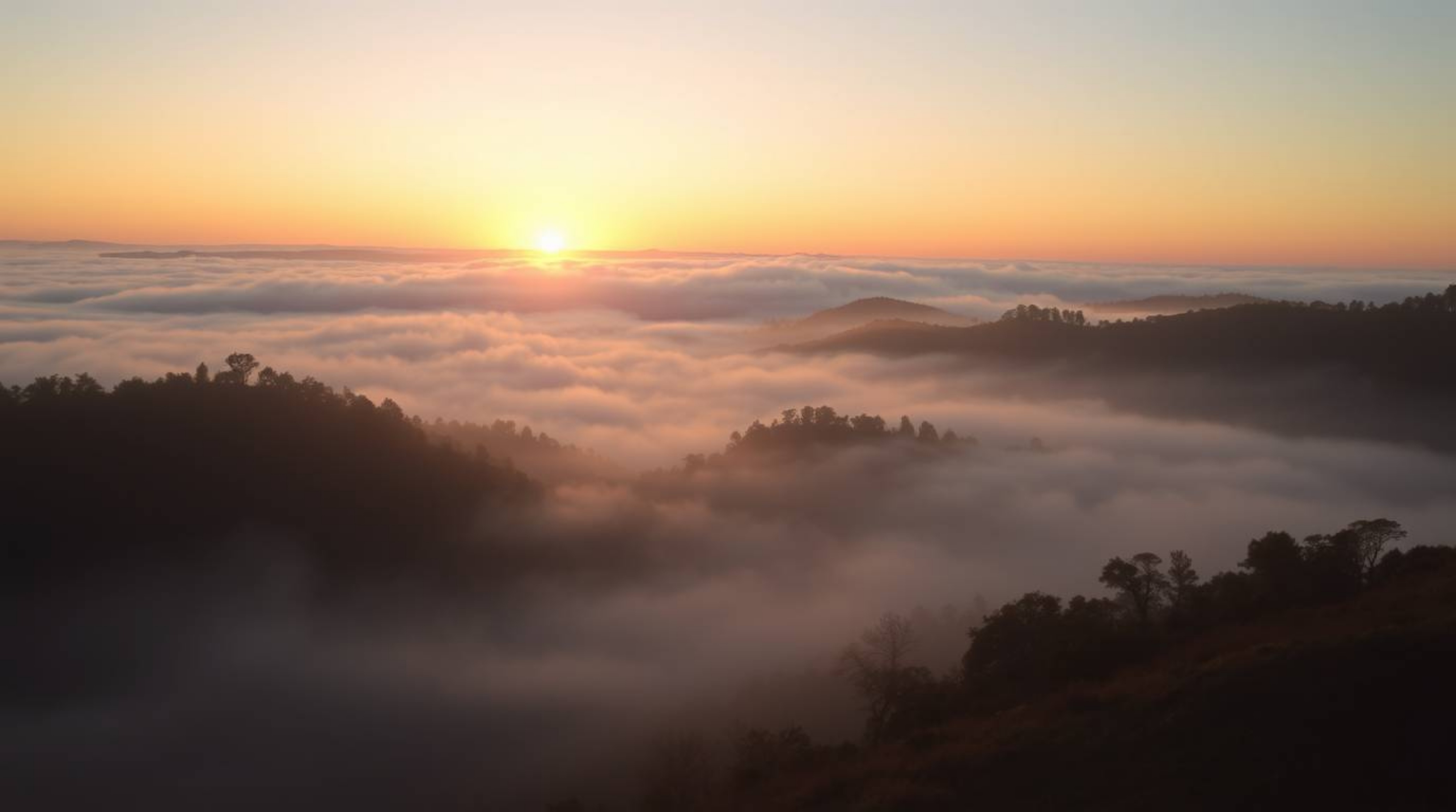 A breathtaking photograph capturing the serene beauty of fog-covered hills at sunset, illuminated by a luxurious and radiant 