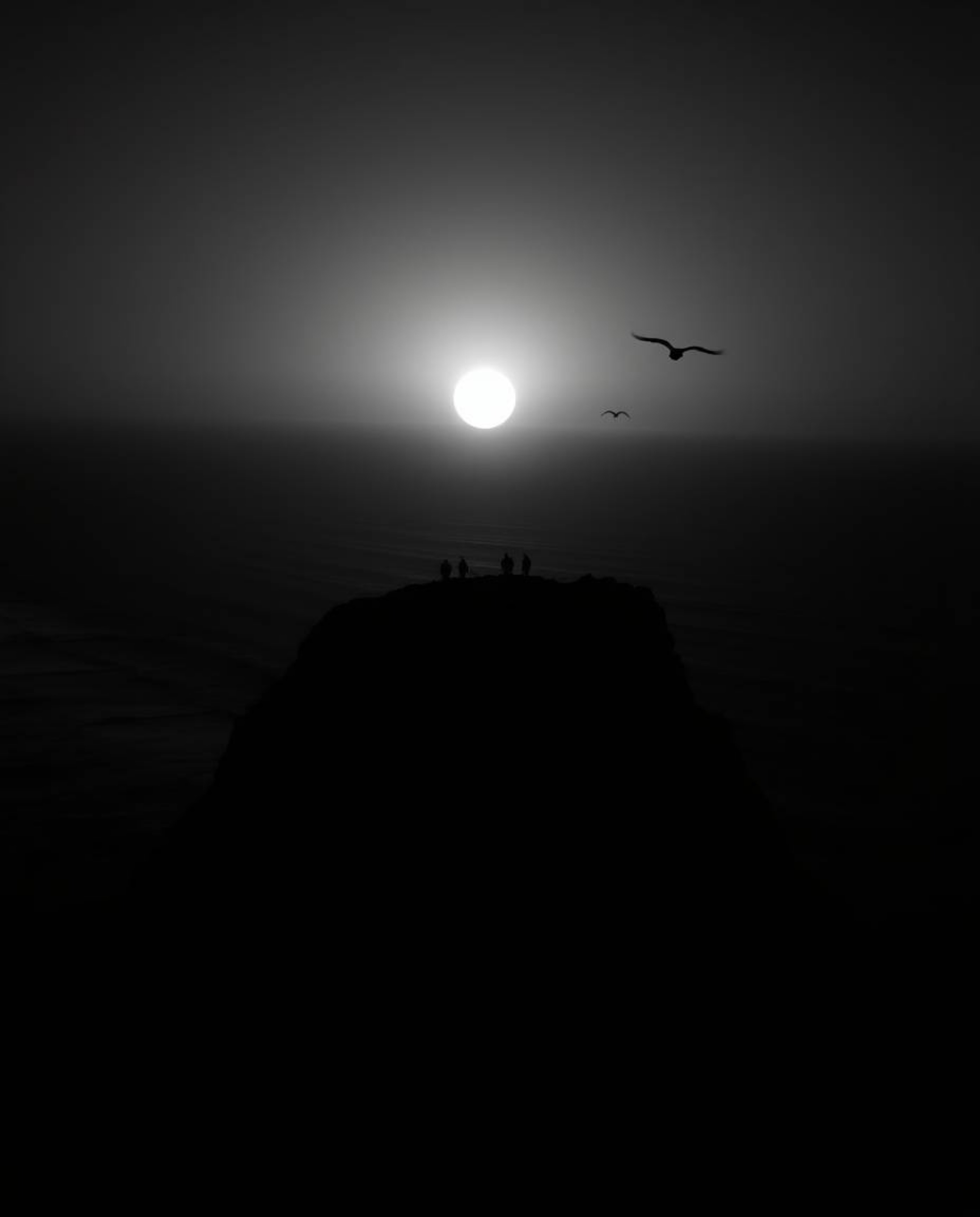 This is a jet black monochrome image of a sunset over a coastal cliff, complete with soaring birds. The artwork is characteri