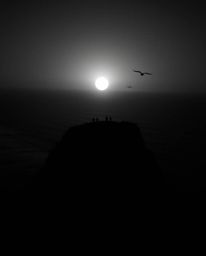 This is a jet black monochrome image of a sunset over a coastal cliff, complete with soaring birds. The artwork is characteri