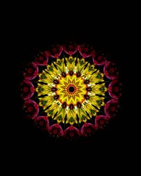 Discover stunning fine art photography featuring a low-angle perspective of a geometric floral mandala. This image showcases 