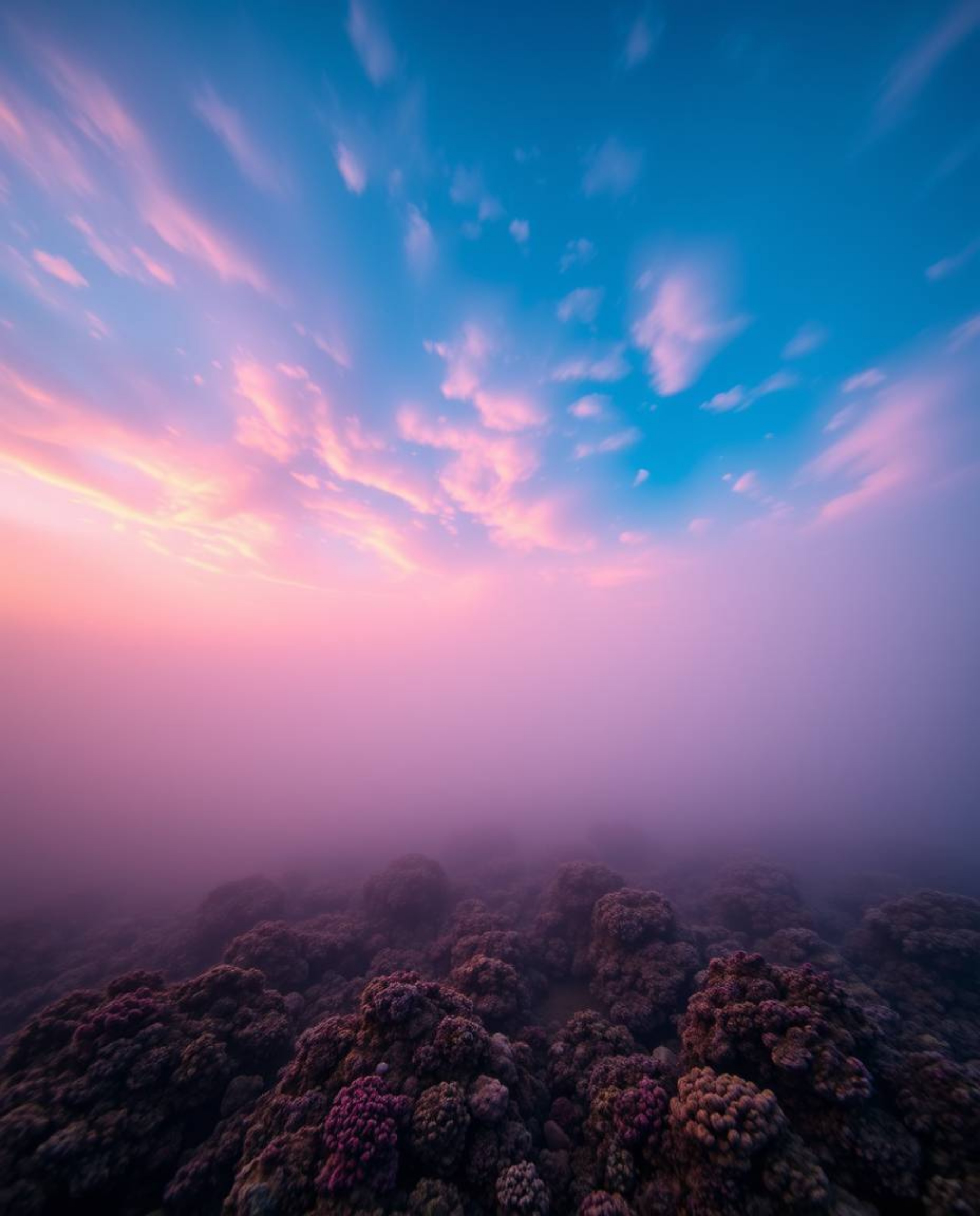 A dramatic low-angle perspective captures a colorful sky over a coral reef at low tide. The scene is shrouded in a thick fog,