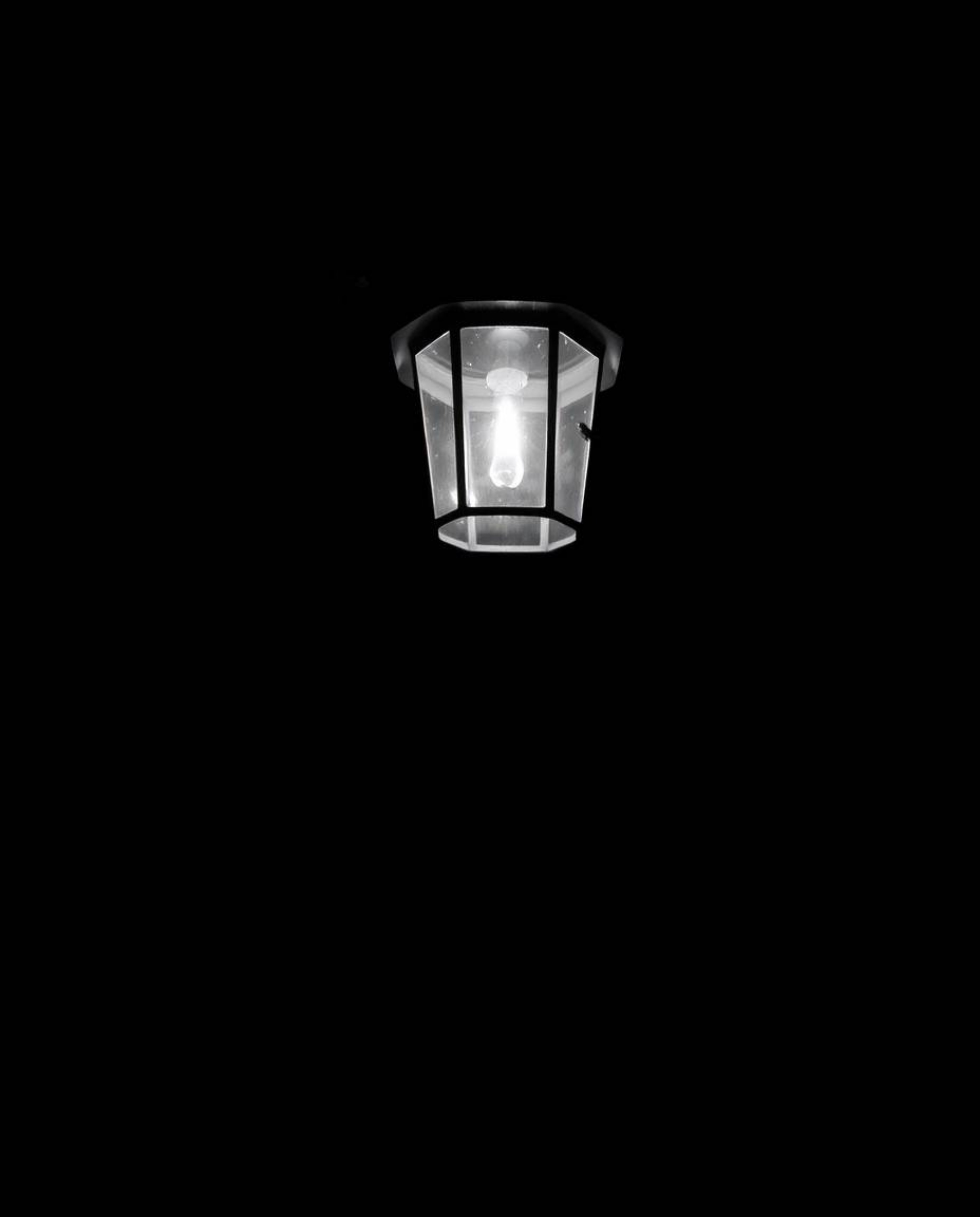 Experience the timeless elegance of a classic black and white image featuring a glowing lantern illuminating a dark forest. T
