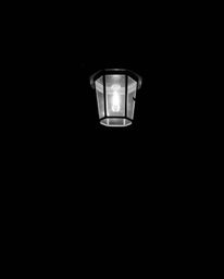 Experience the timeless elegance of a classic black and white image featuring a glowing lantern illuminating a dark forest. T
