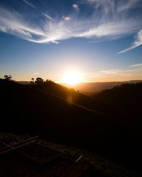A striking photograph taken from a high-angle perspective, capturing a silhouetted sunset over terraced tea plantations. Util