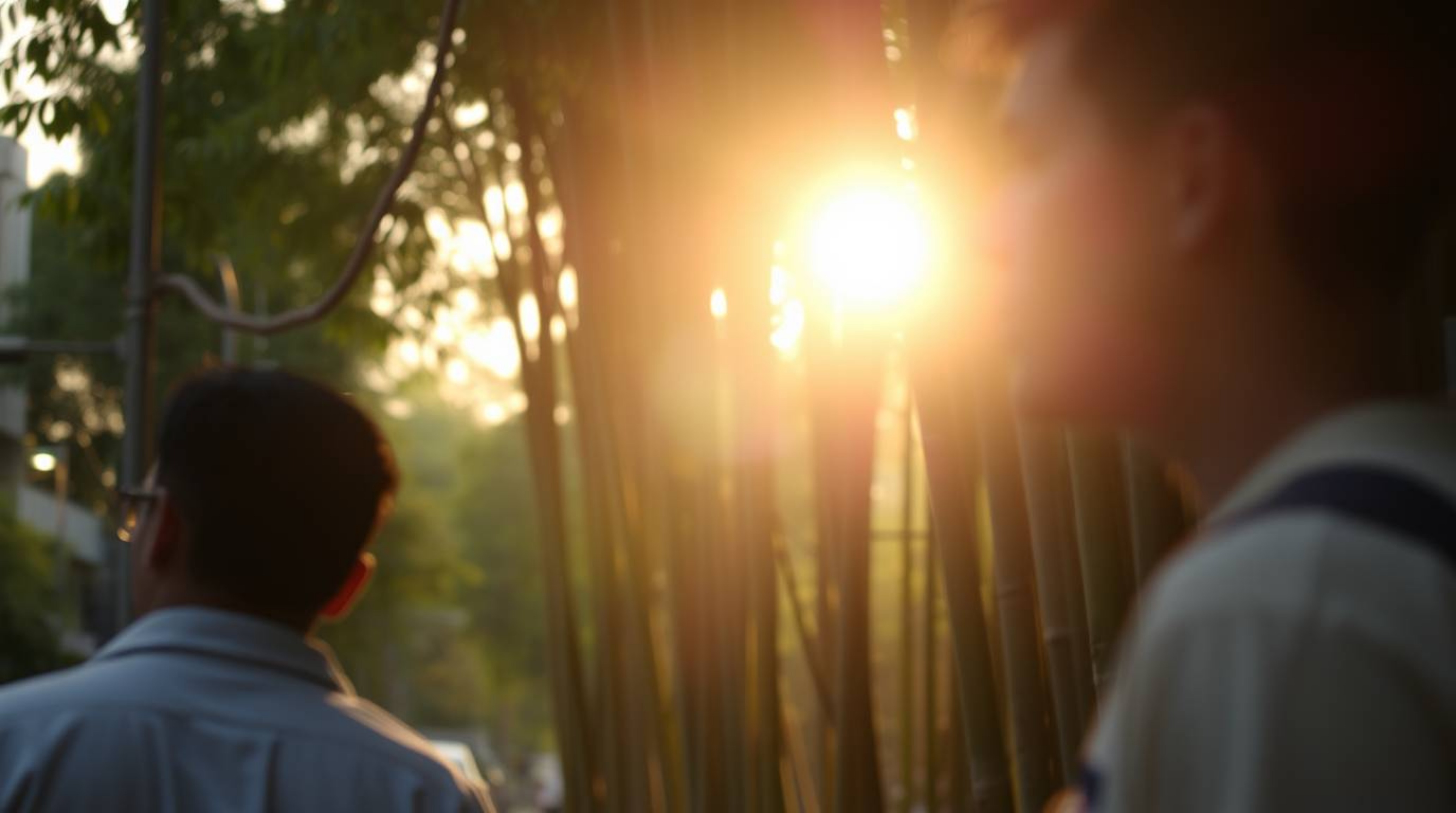 Capture the essence of candid street photography with the gentle embrace of soft light as it illuminates a serene bamboo fore