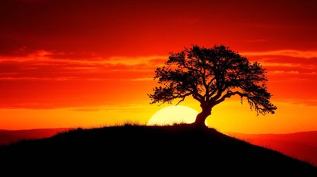 Capture the captivating beauty of a lone tree silhouetted against a fiery sunset. This image features intense dramatic lighti