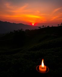 This artwork captures a warm sunset over terraced tea plantations, bathed in a rich palette of reds, oranges, and yellows. Th