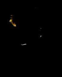 This image features a compelling tight close-up of a silhouetted subject dramatically lit from behind against a stark black b