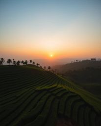 This image provides a stunning overhead bird’s-eye view of a sunset over terraced tea plantations. The top-down perspective o