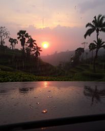 A soft dreamy atmosphere captures a wet rainy scene of a sunset over terraced tea plantations. The drizzling rain creates ref