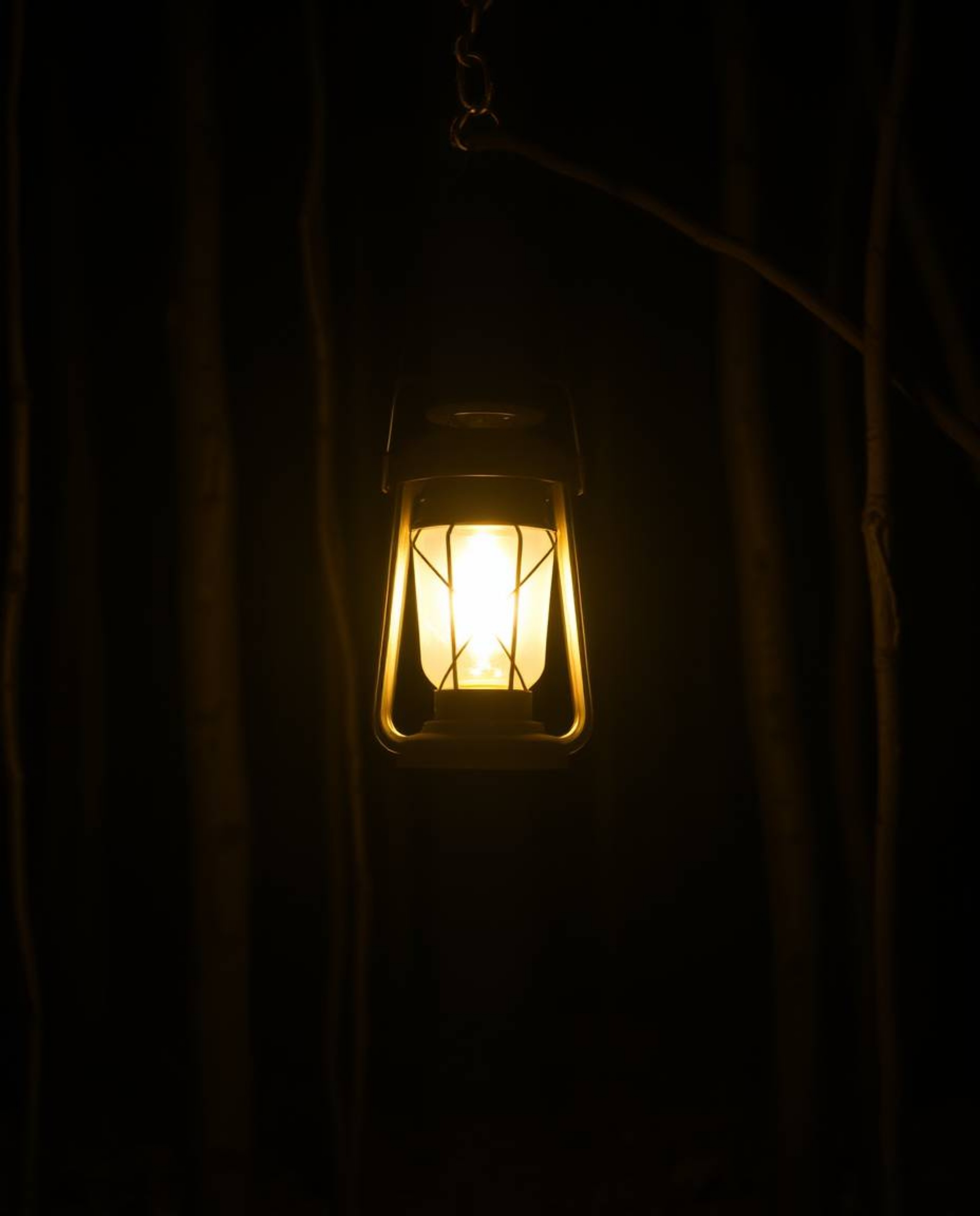 A captivating scene unfolds with a glowing lantern illuminating a dark forest, rendered in high contrast and low-key lighting