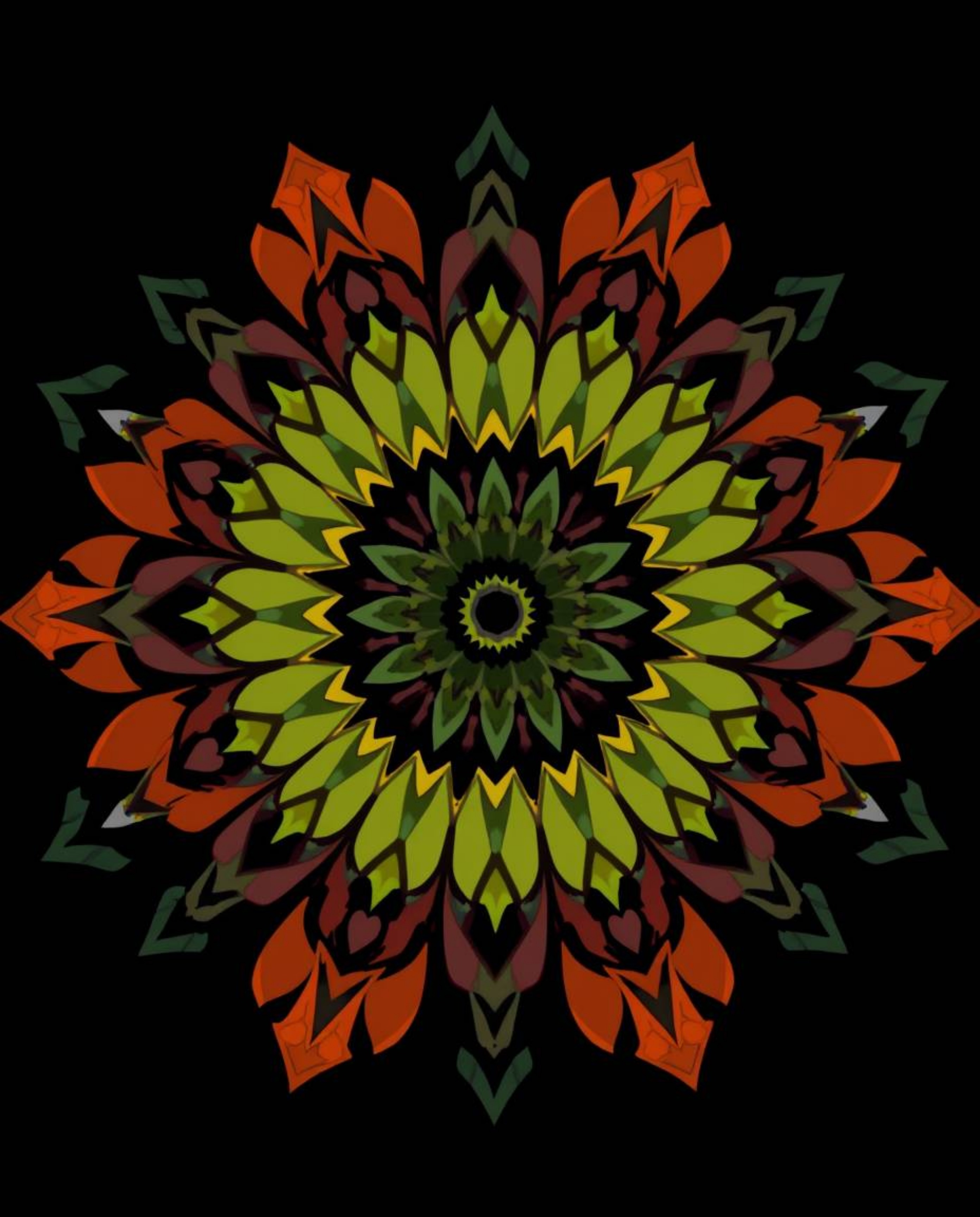 Explore a collection of strong, moody geometric floral mandalas featuring vibrant colors and symmetrical designs rendered in 