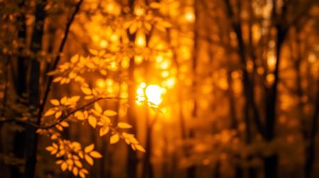Capture the essence of autumn with a creative light art photograph showcasing a blurred bokeh effect. The scene depicts an au