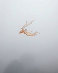 A graceful, elegant paint splash, frozen in time by a high-speed camera amidst thick fog, creates a surreal and captivating e