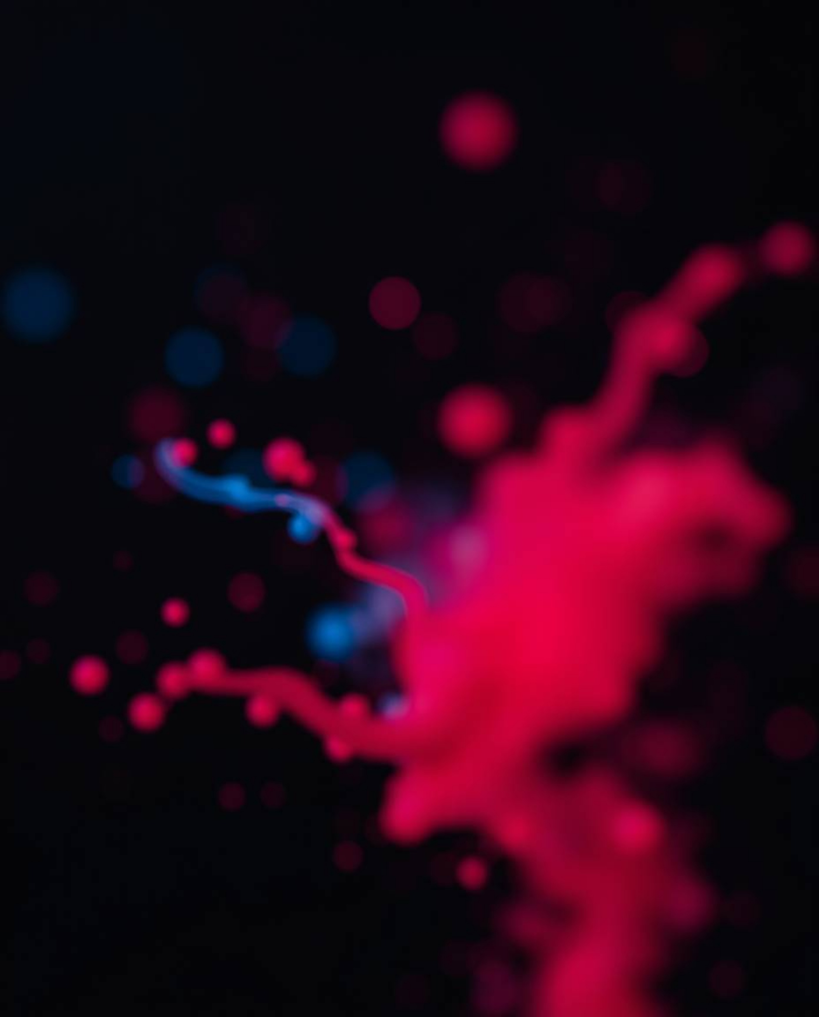 Explore the captivating blend of sharp subject focus and soft, blurred bokeh in this artistic photograph.  Featuring rich bur