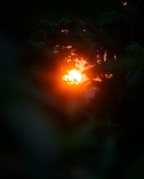 A professional, fine art photograph featuring a beautiful blurred bokeh effect, which draws the eye to a sharply focused suns
