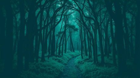 Experience a captivating chase scene through a mesmerizing looping forest background.  Rendered in rich, deep teal, this anim