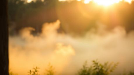 A stunning high-resolution stock photo capturing the ethereal beauty of mist rising from a forest during golden hour.  The im