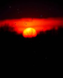 An intense and dramatic image captures snowflakes falling during a vibrant sunset. The scene is rendered in jet black, utiliz