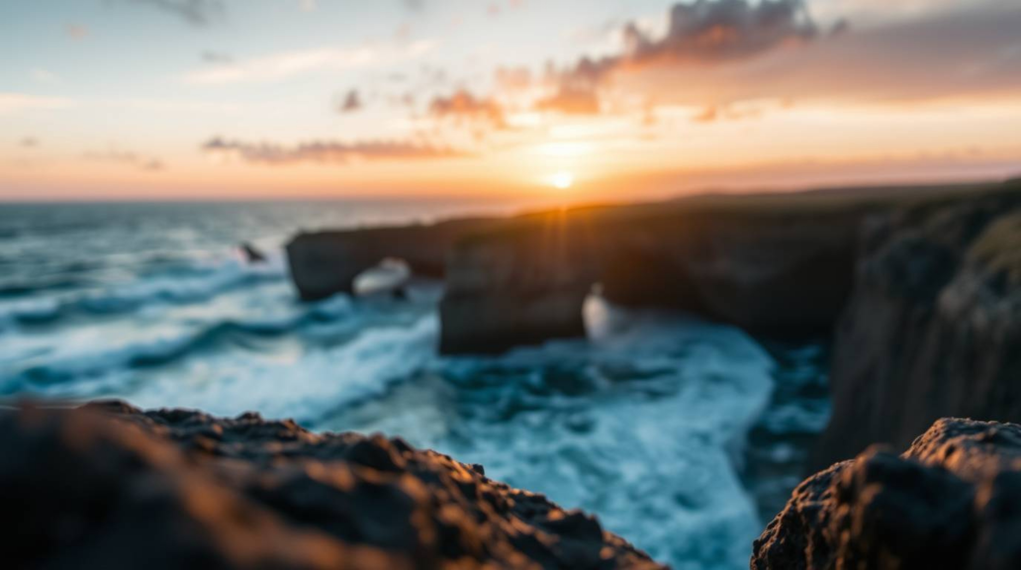 Experience the delicate beauty of nature with gentle soft light and extreme macro close-ups capturing small subject details. 