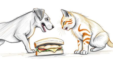 A charming hand-drawn sketch captures a humorous scene of a dog and cat fiercely squabbling over a massive sandwich.  Rendere