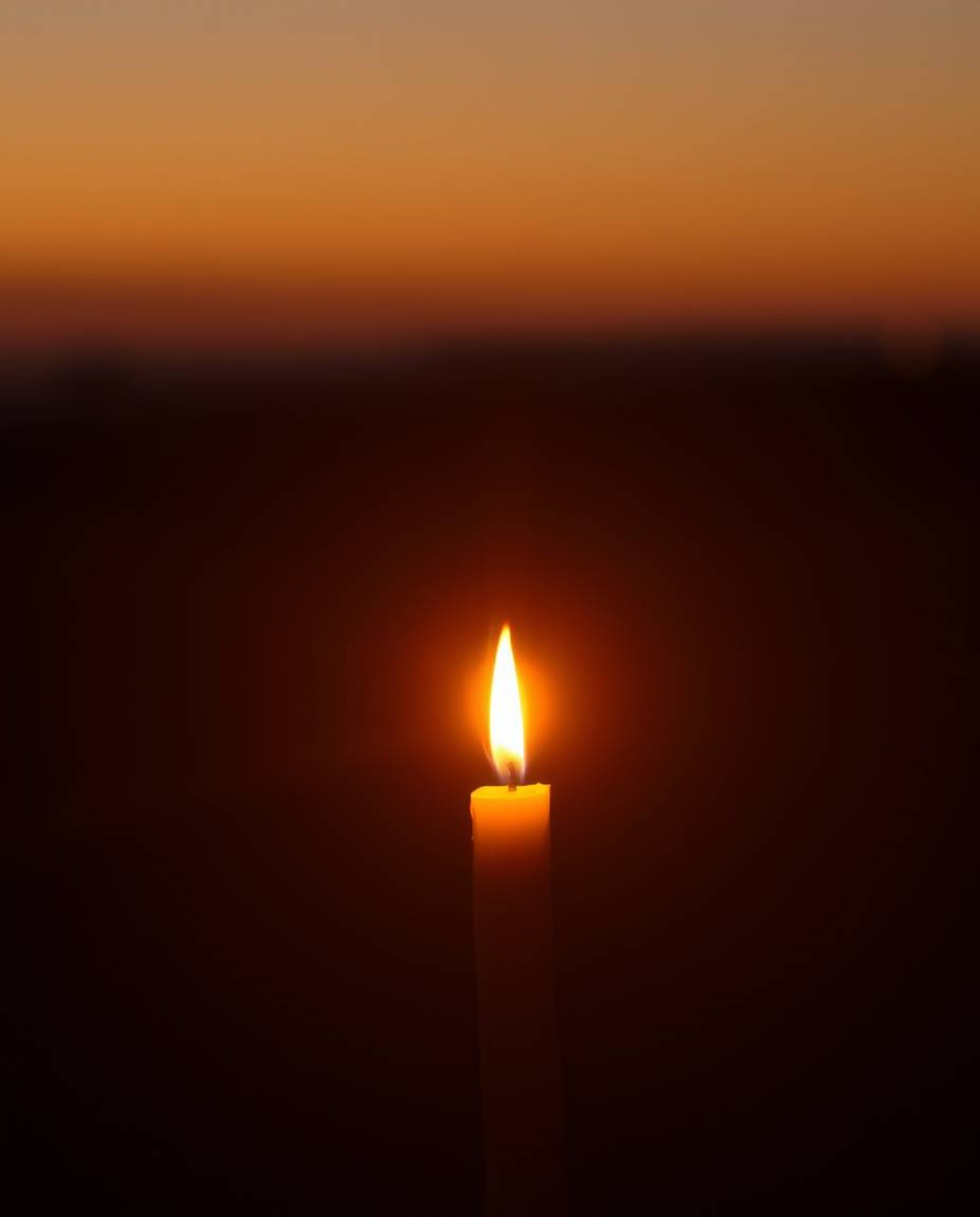 Immerse yourself in a warm, ethereal, and spiritual vibe with this captivating image of a desert cactus. Glowing in the last 