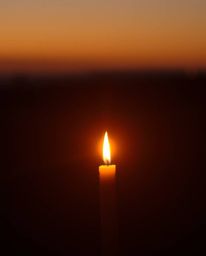 Immerse yourself in a warm, ethereal, and spiritual vibe with this captivating image of a desert cactus. Glowing in the last 