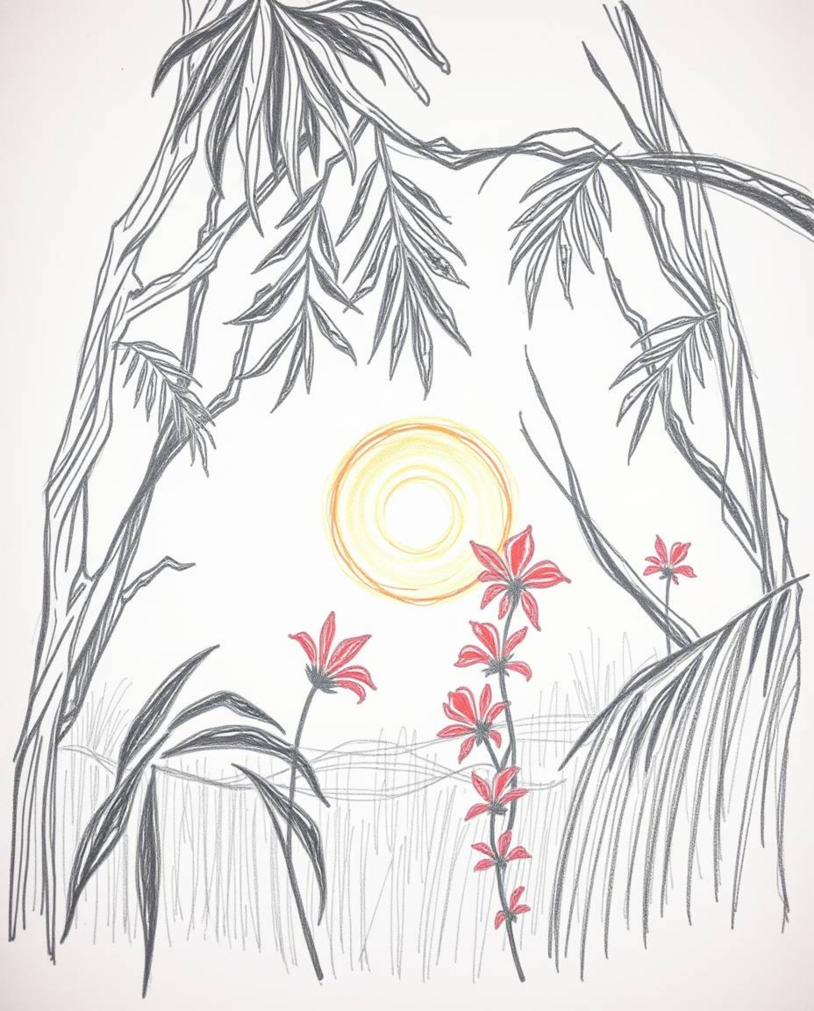 A hand-drawn sketch depicting the iridescent colors and reflections of a sunset filtering through a dense jungle canopy. The 