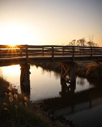 An old wooden bridge, featuring a distinctly split design with bold, divided sections, is captured over a river during the wa