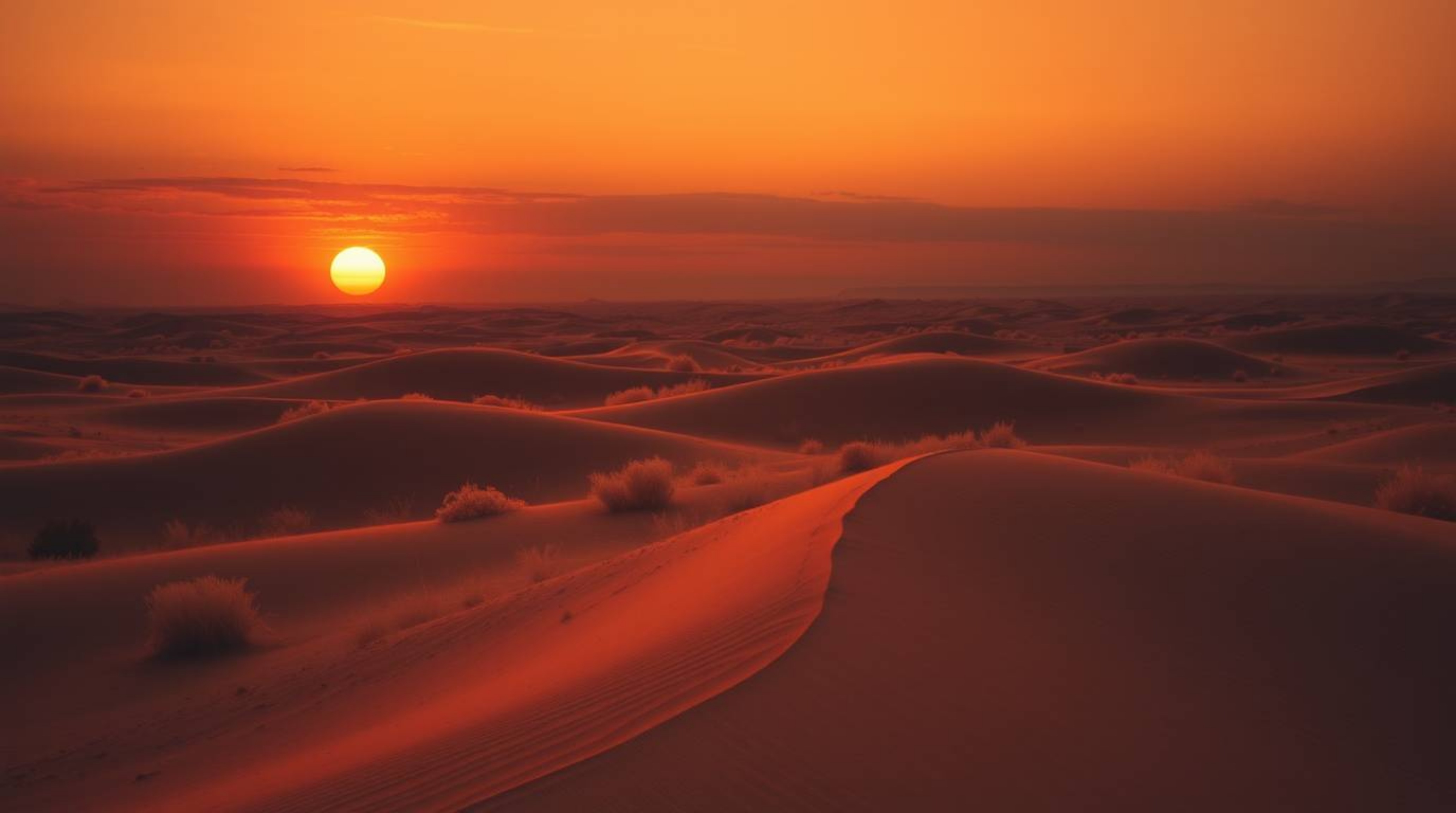 Experience a surreal infrared-toned image of a sunset at the edge of a desert.  Golden dunes are bathed in high-contrast, low